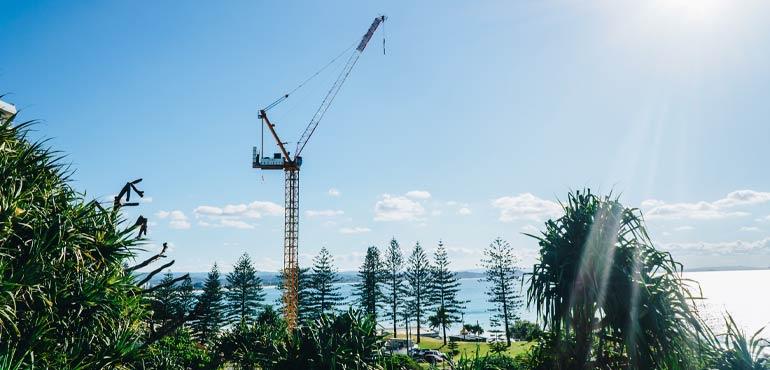 Crane in the tropics with sea in the background