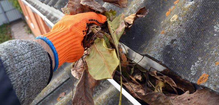 banner-property-32-gloved-hand-removing-leaves-gutter