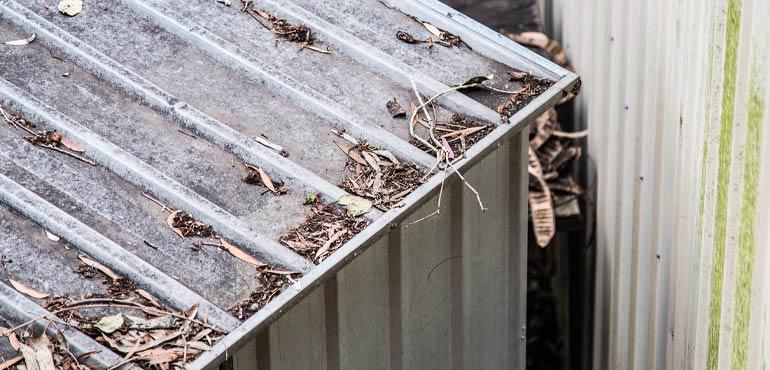 banner-property-4-shed-roof-leaves